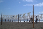 DSCF0037.JPG